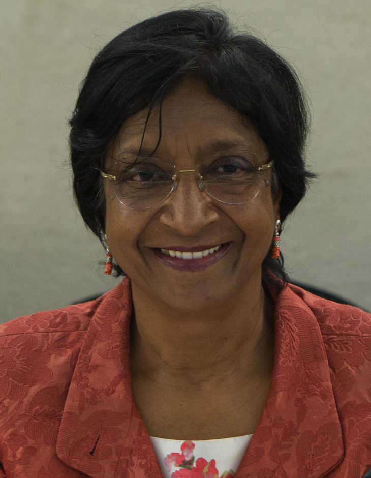 Navi Pillay June 2014